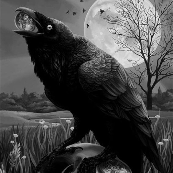 Meet your Posher, Daegan - Picture 1 of 1